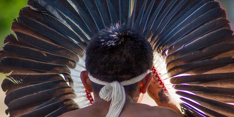 Indigenous man wearing a large feathered headdress, photographed from behind during a tribal gathering