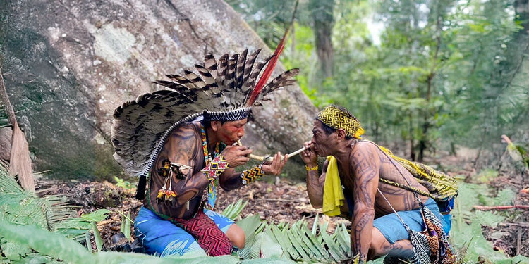 Huni Kuin tribe men performing rapé ceremony in the Amazon rainforest using a tepi pipe, adorned in traditional feather headdresses and body paint"