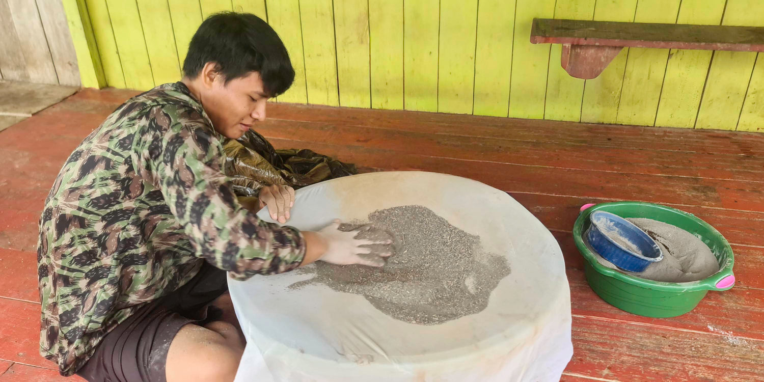 Katukina tribe member preparing fortifying rapé snuff with ash and Amazonian herbs