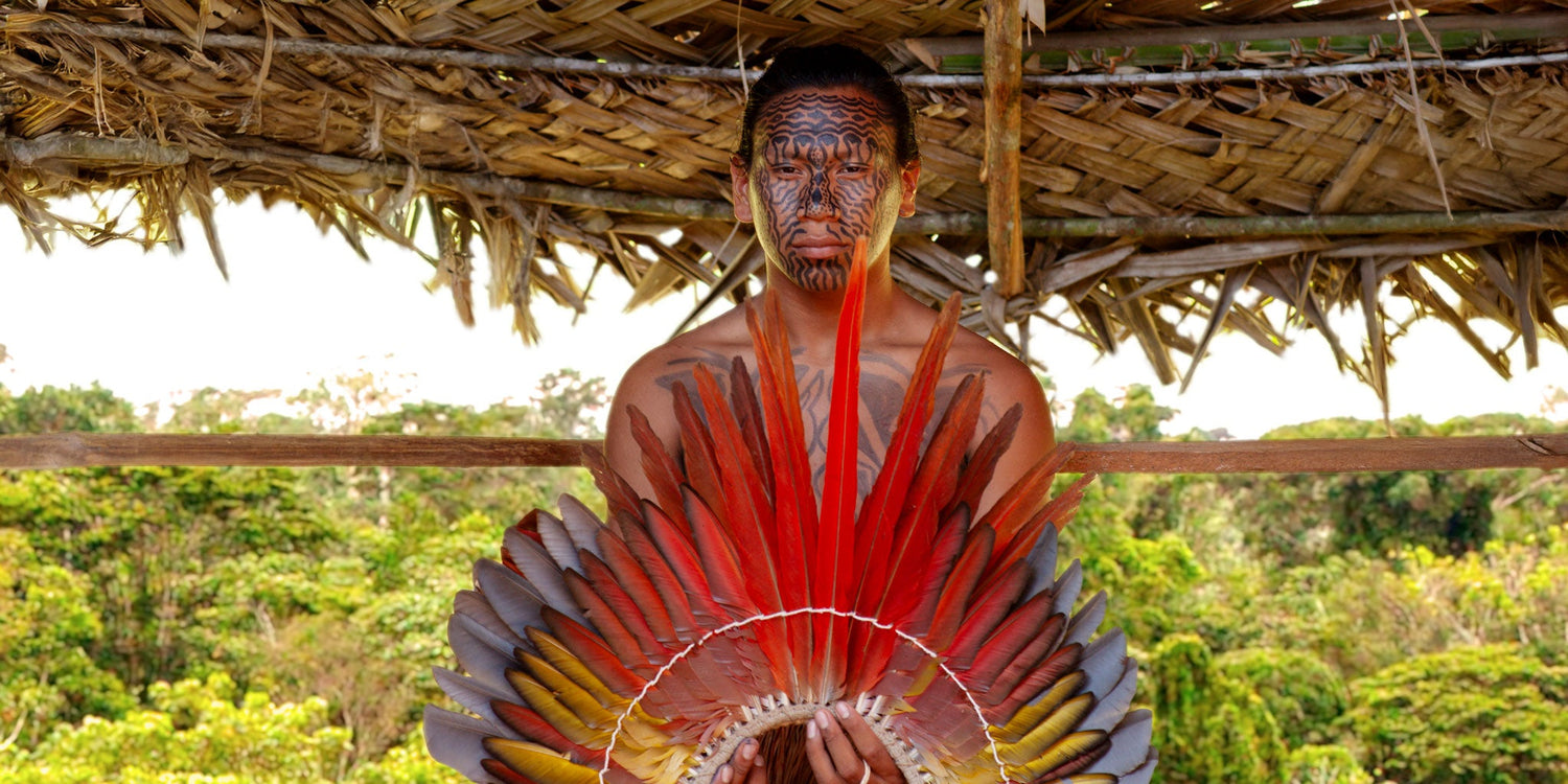 Indigenous man with intricate face paint holding a vibrant red and yellow feather headdress under a thatched roof in the Amazon rainforest