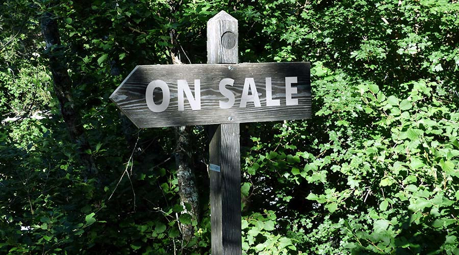 Discounted Shamanic Supplies, Rapé, Hapé, Kuripe