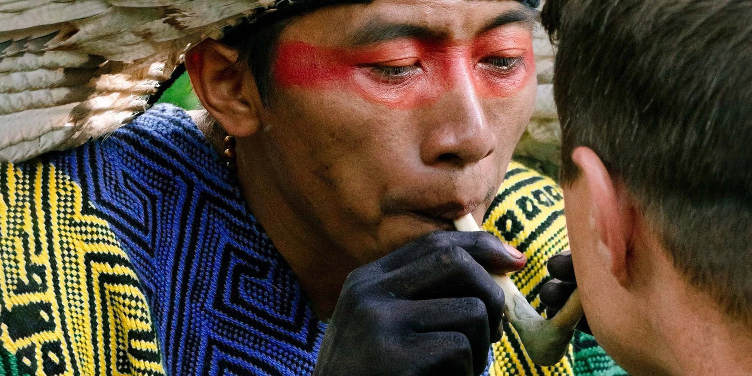 A Huni Kuin tribesman delivers rapé with a Tepi pipe during a sacred ceremony.