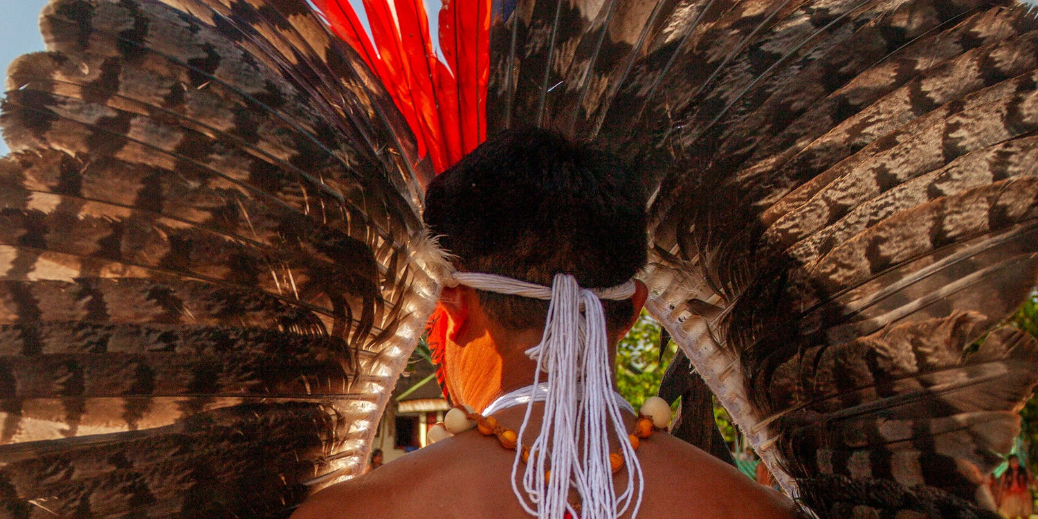 Tribal man wearing a large headdress made of patterned brown feathers with striking red accents, symbolizing Amazonian cultural heritage.