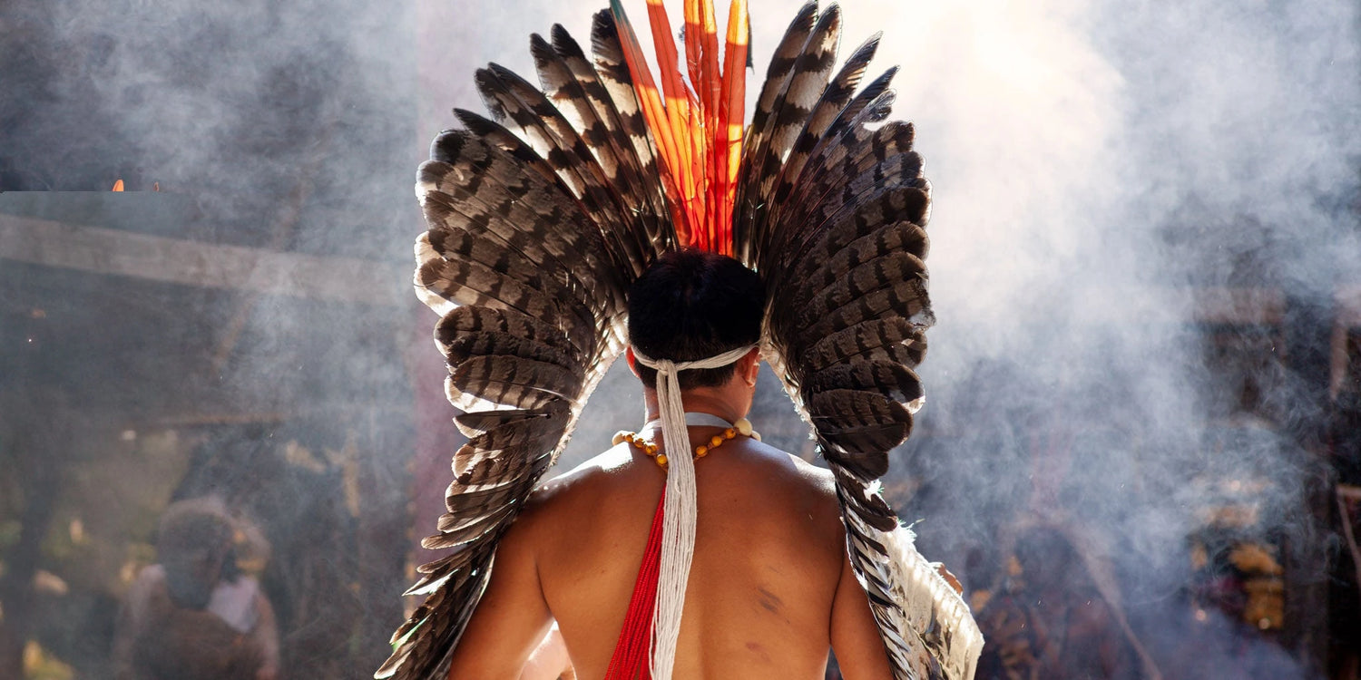 Amazonian tribesman wearing a ceremonial feather headdress during a traditional ritual