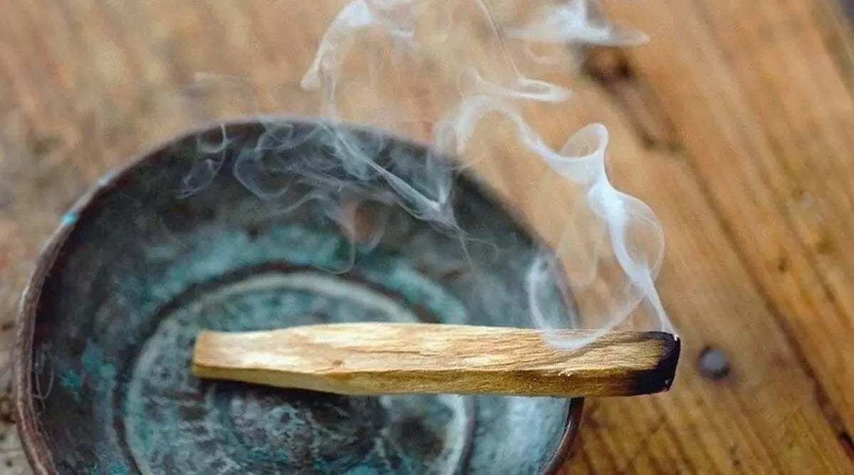 Premium Palo Santo for Cleansing and Healing | United States