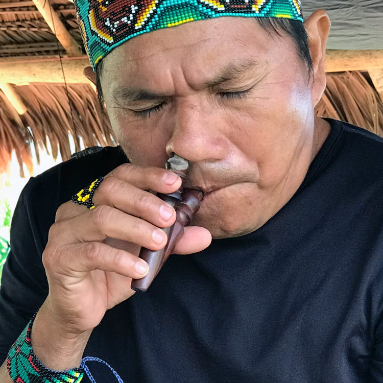 Pode Katukina takes hapé with a wooden kuripe