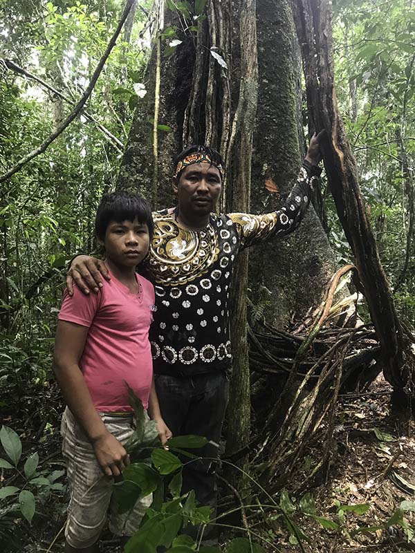 Levi Katukina and his son Sheka harvest ayahuasca vine