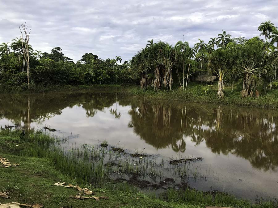 Fish breeding pond — part of a sustainable village lifestyle