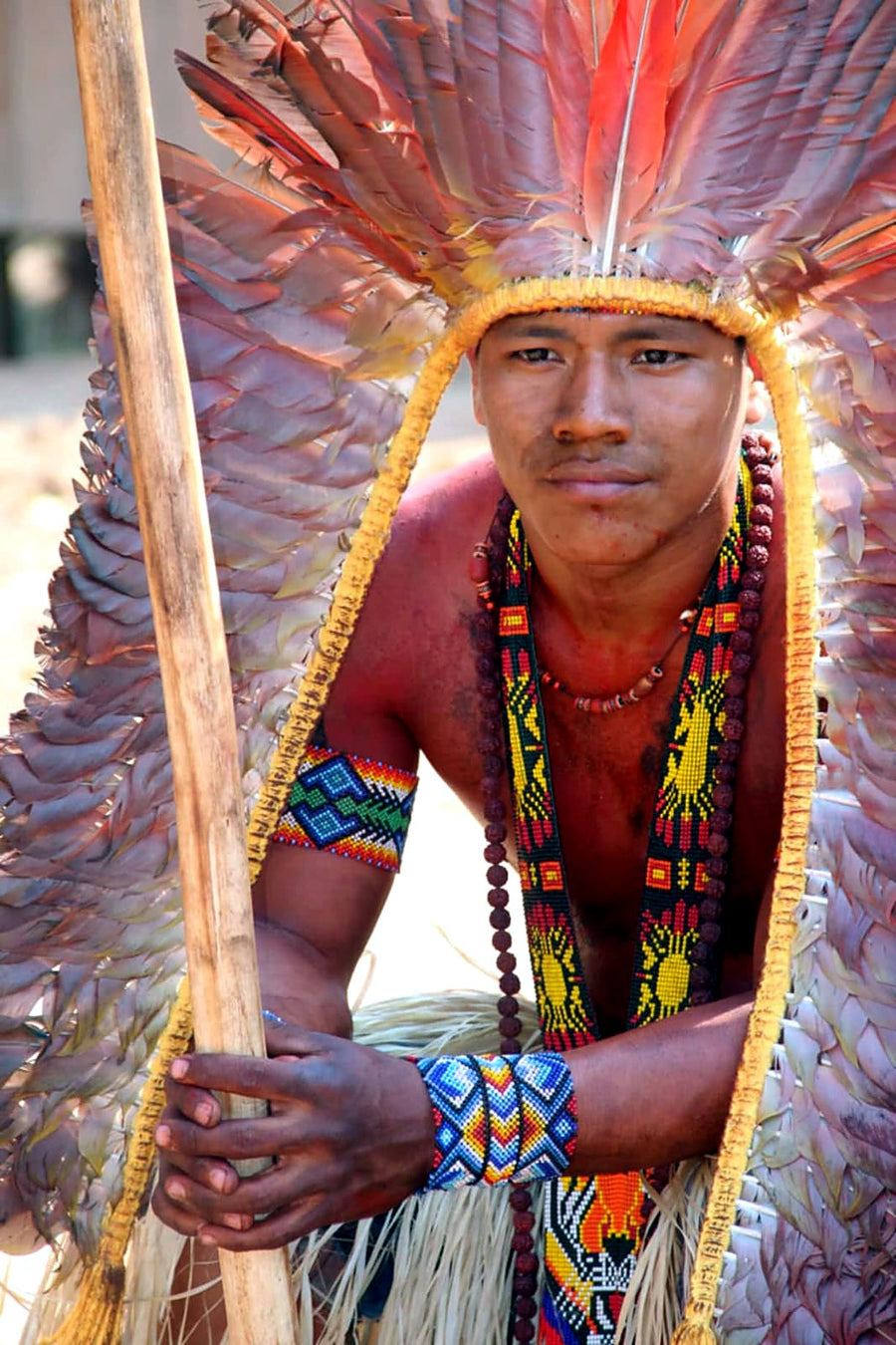 Ceremonial feathers and beadwork