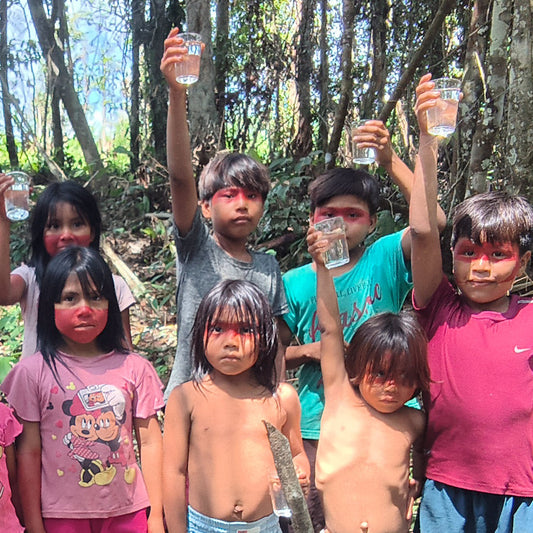 Noke Koi children holding up glasses of clean water in the forest