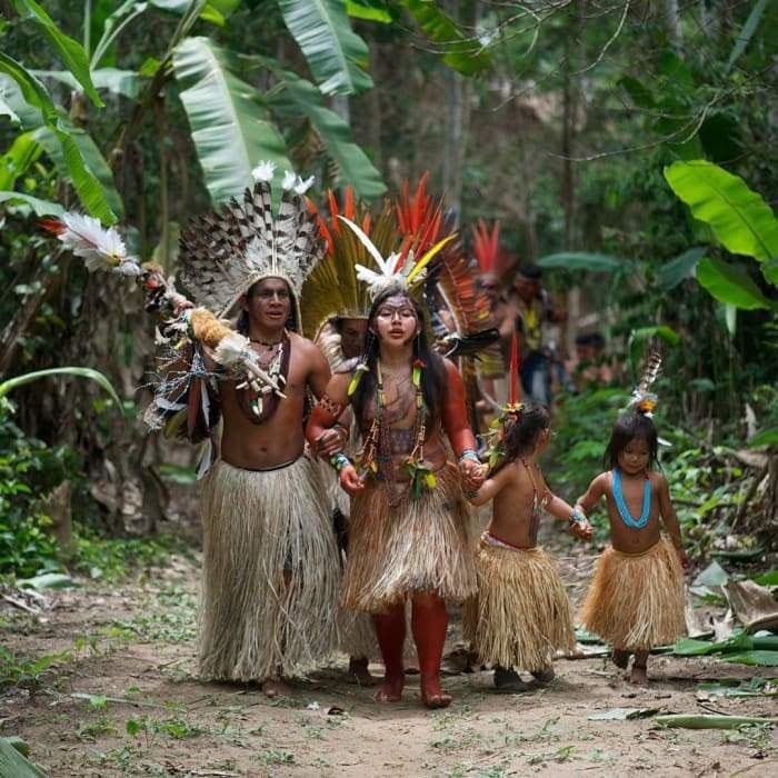 Yawanawá • Menta Rapeh menta rapeh yawanawá tribe soothing properties