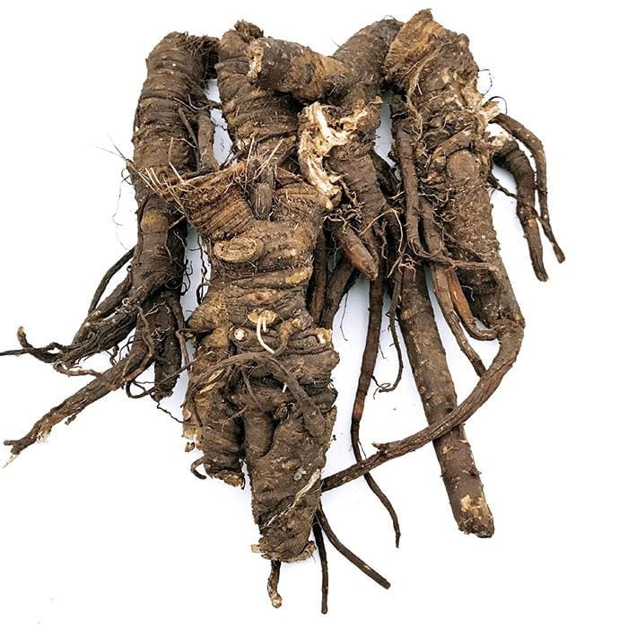 Herbal • Osha Rapeh Shamanic Supply