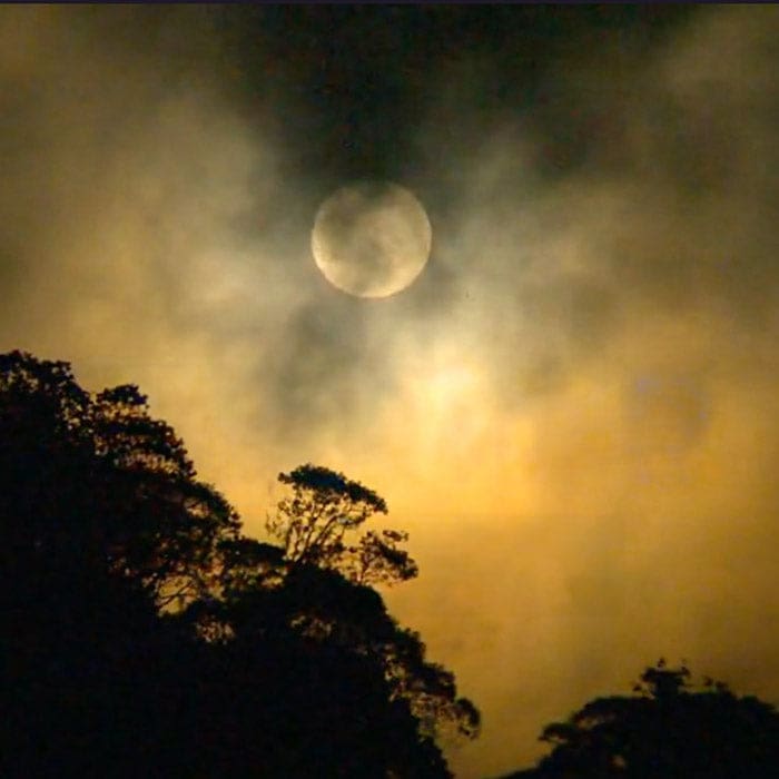 Full moon above the Jungle.