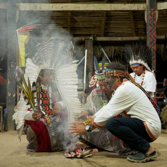 Yawanawá Veia De Pajé - Rapeh / shamanicsupply.com