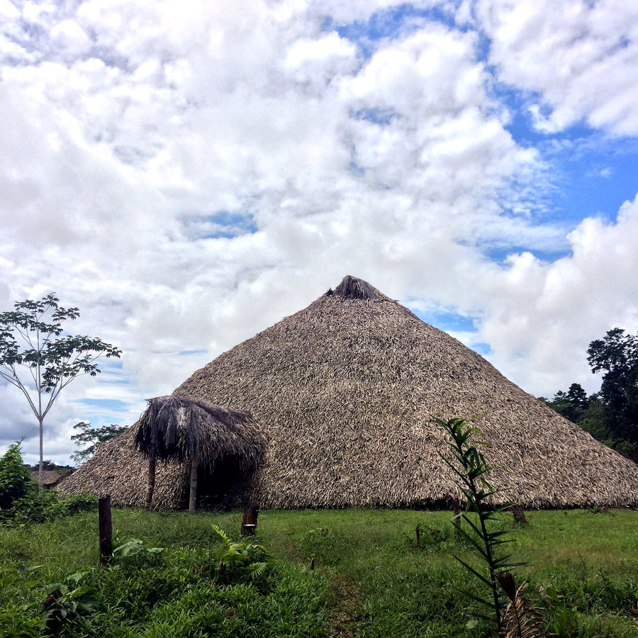A traditional maloca at the place of their ancestors