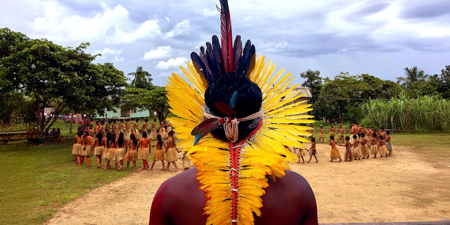 A yellow feather headdress facing the festival dance circle